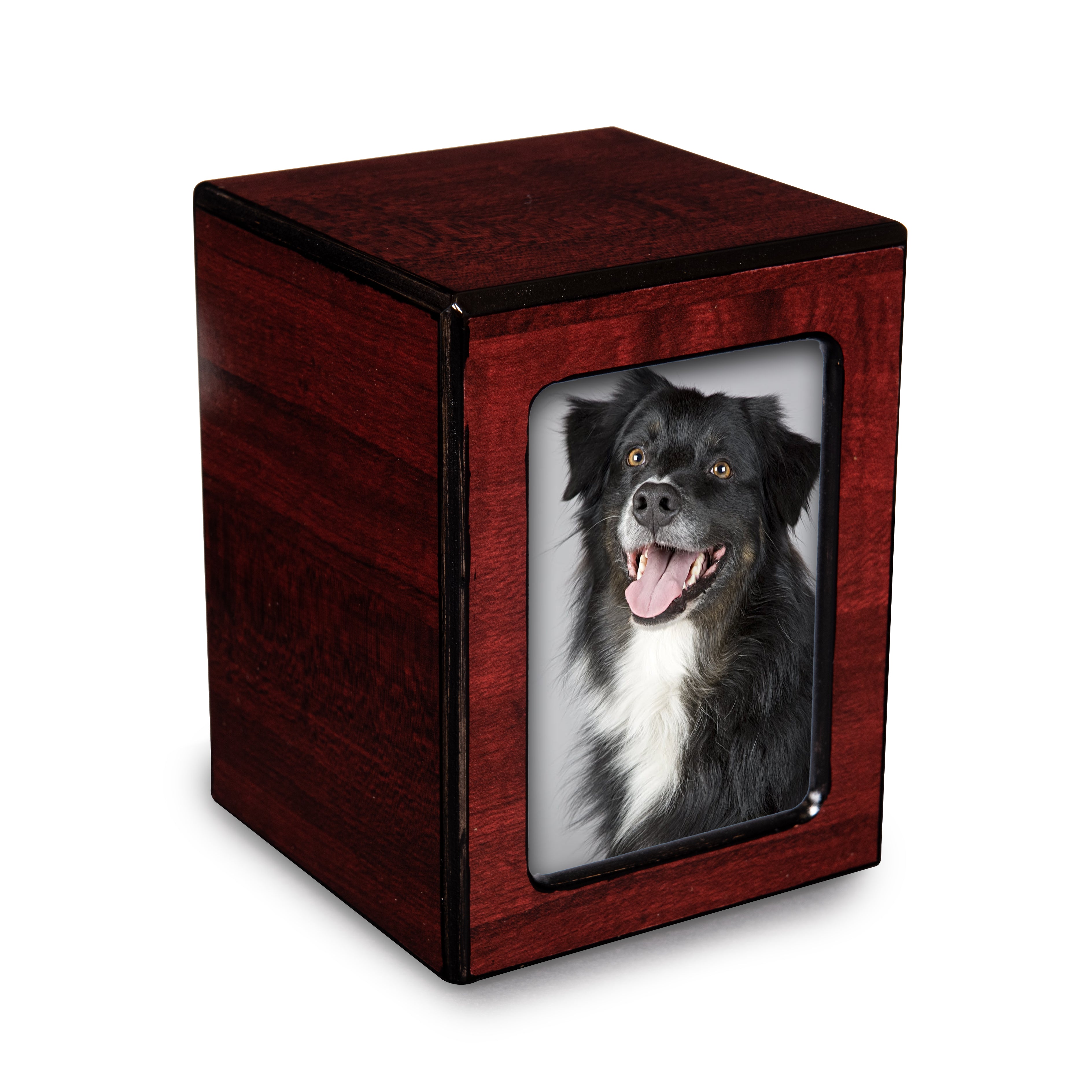 Affordable pet urns sale